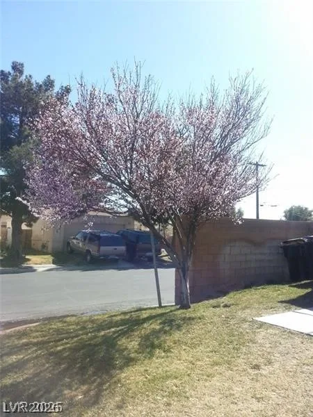 2301 Shady Hill Avenue — photo 2