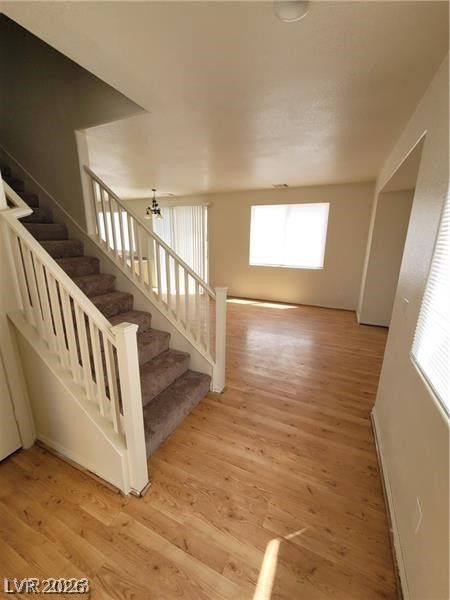8149 Palace Monaco Avenue — photo 5