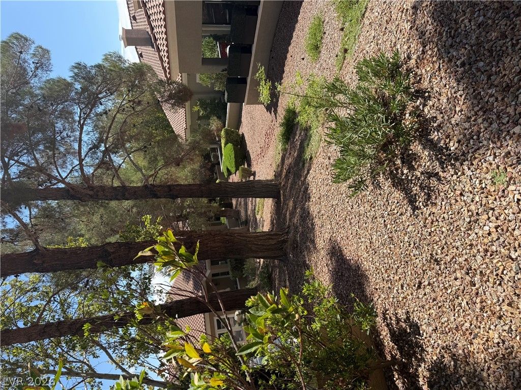 10001 Summer Oak Lane 103 — photo 3 of 4