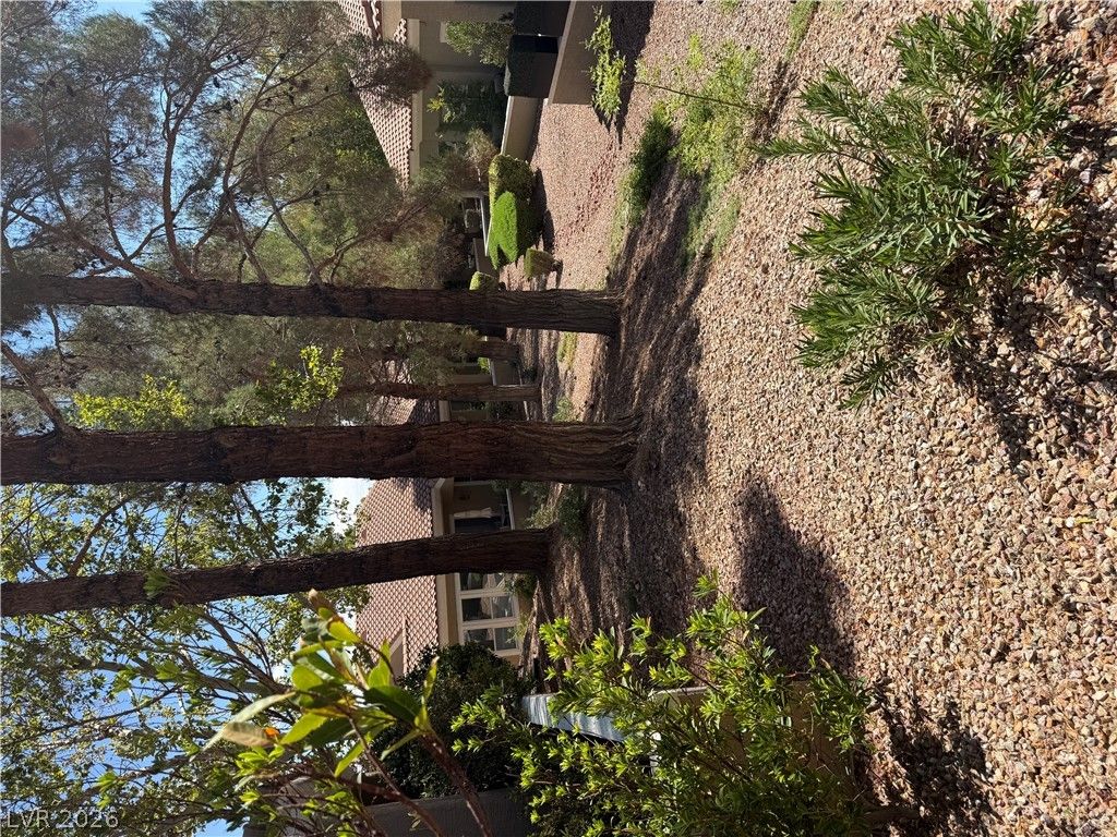 10001 Summer Oak Lane 103 — photo 4 of 4