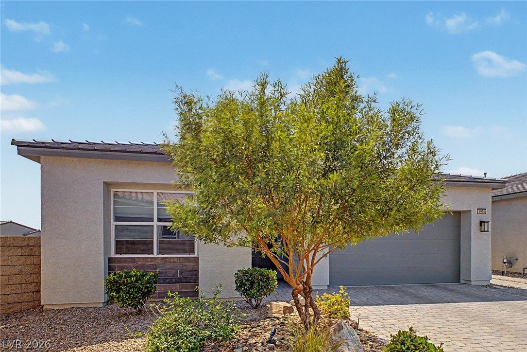 8920 Skye Canyon Ranch Street — photo 5