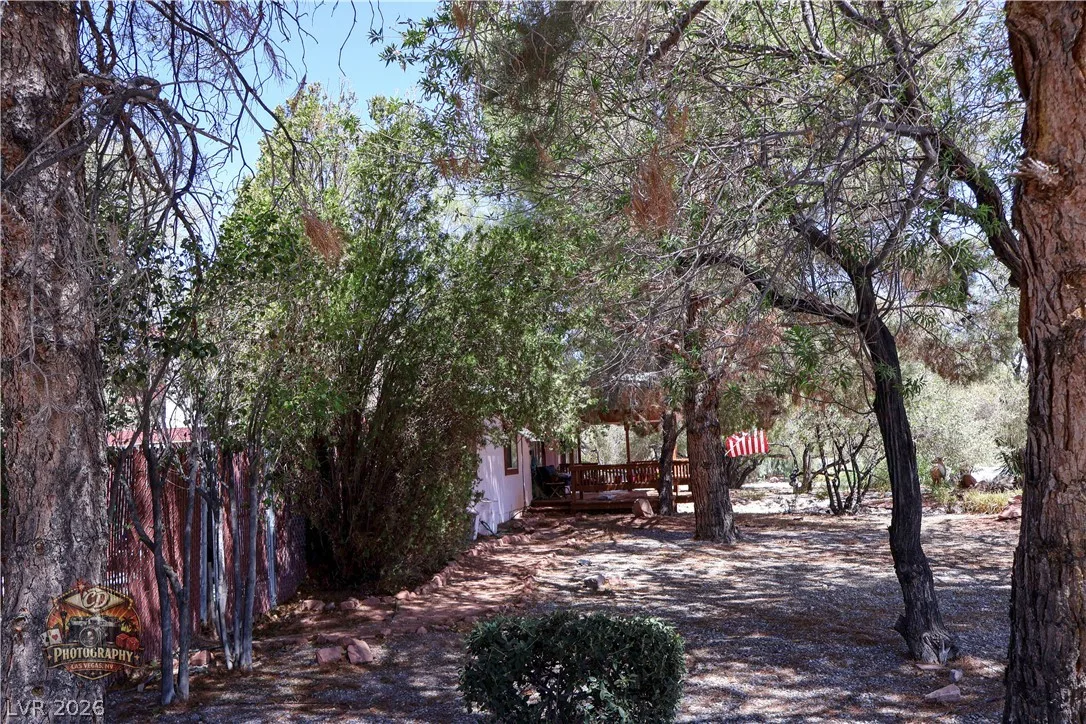 1380 South Happy Lane — photo 5