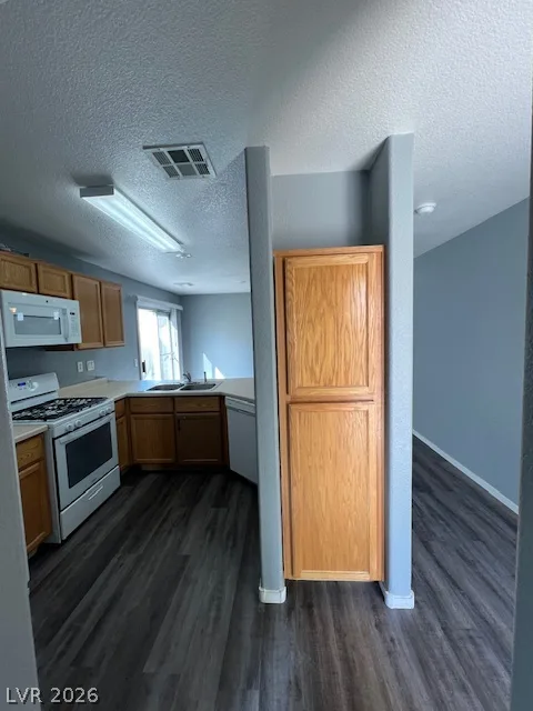 9981 Fine Fern Street — photo 4