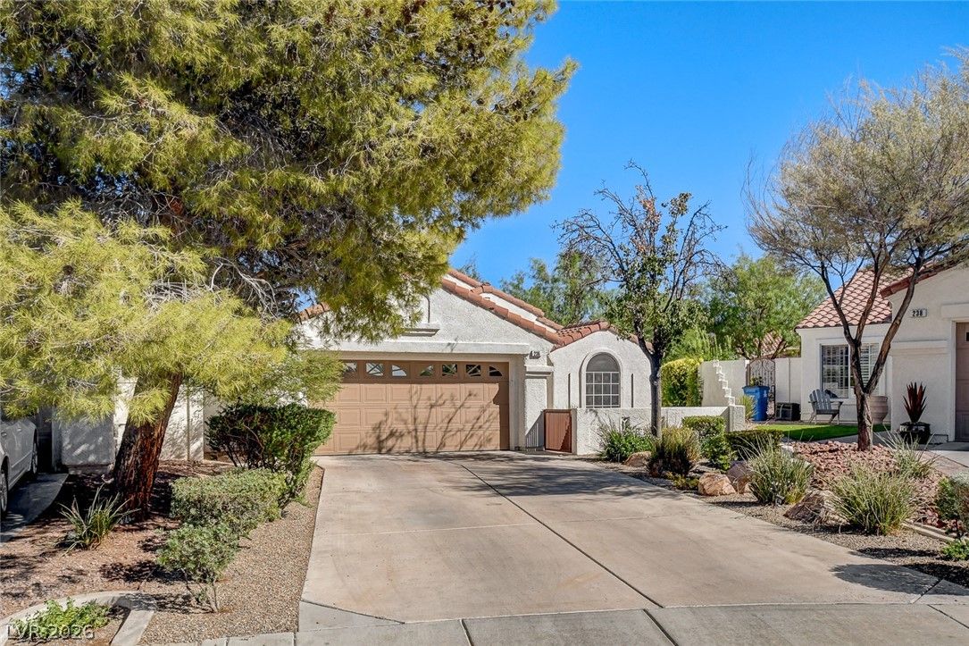 236 Misty Garden Street — photo 3