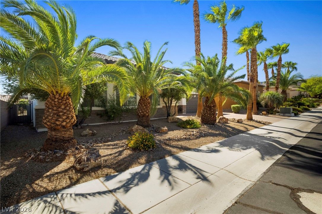 246 Calle Palacio Street — photo 2