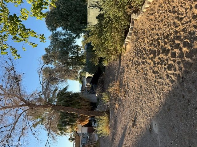 Photo 42