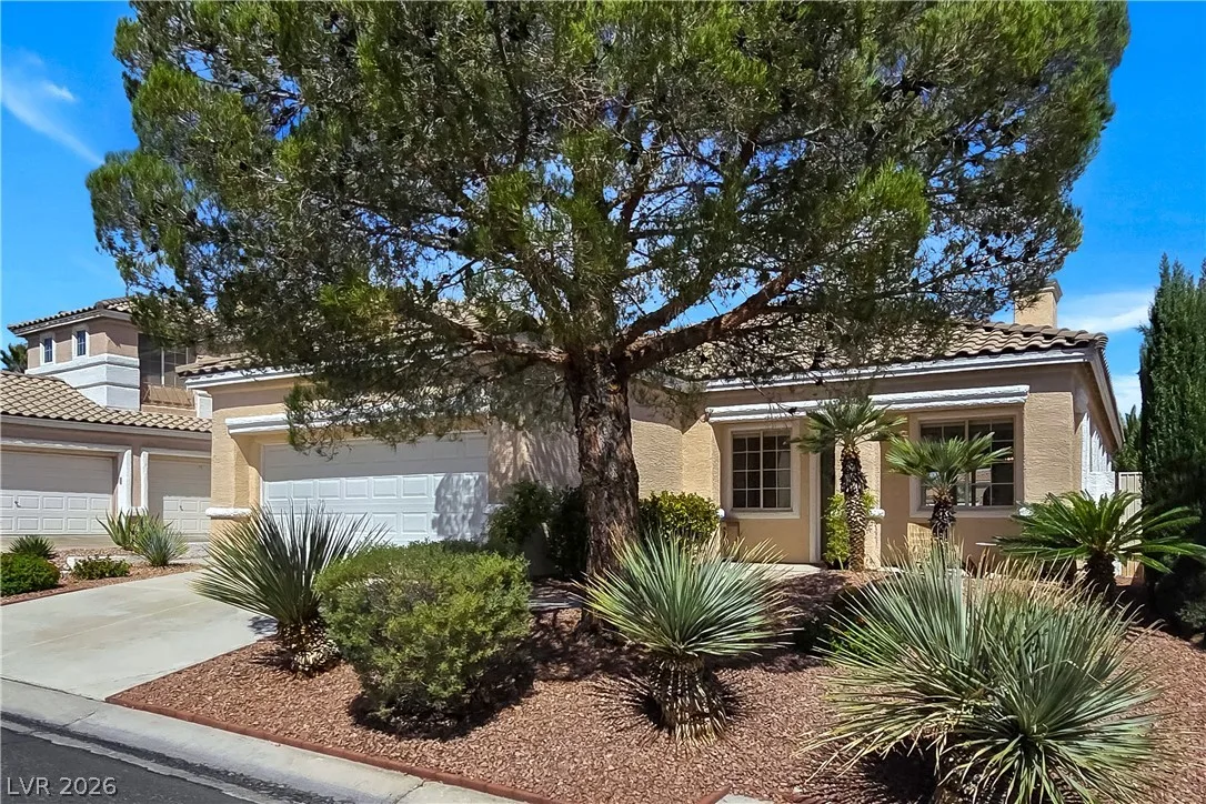 10104 Pinnacle View Place — photo 3