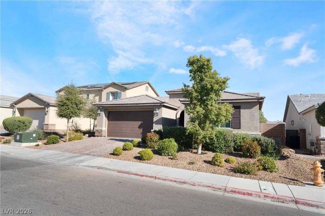1430 Dire Wolf Avenue — photo 3