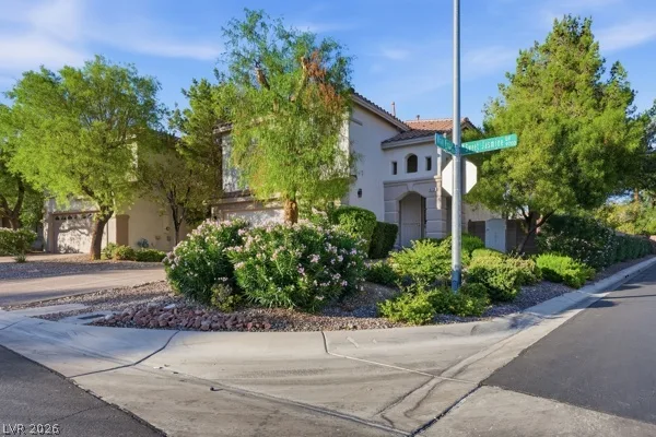 9726 Sweet Jasmine Drive — photo 3
