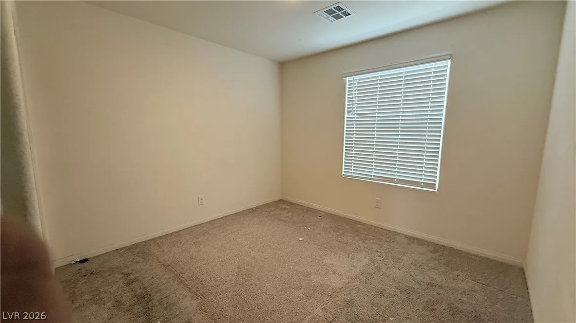10079 Vibrant Moon Avenue — photo 5
