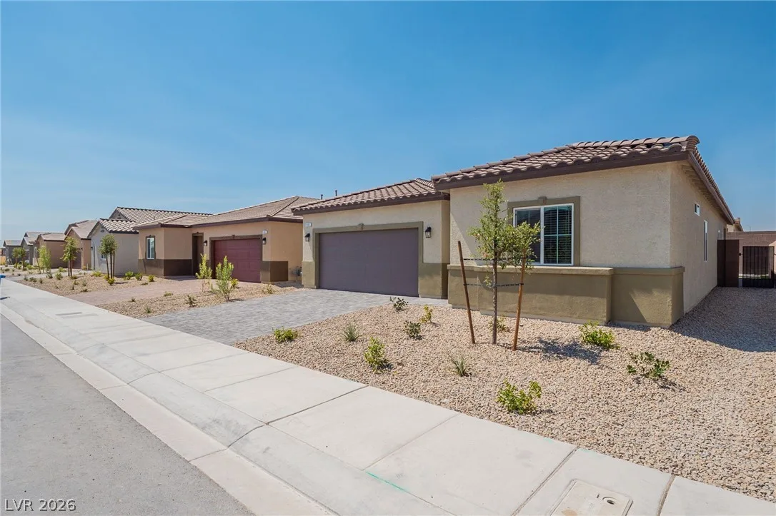1691 Douglas Creek Street — photo 3
