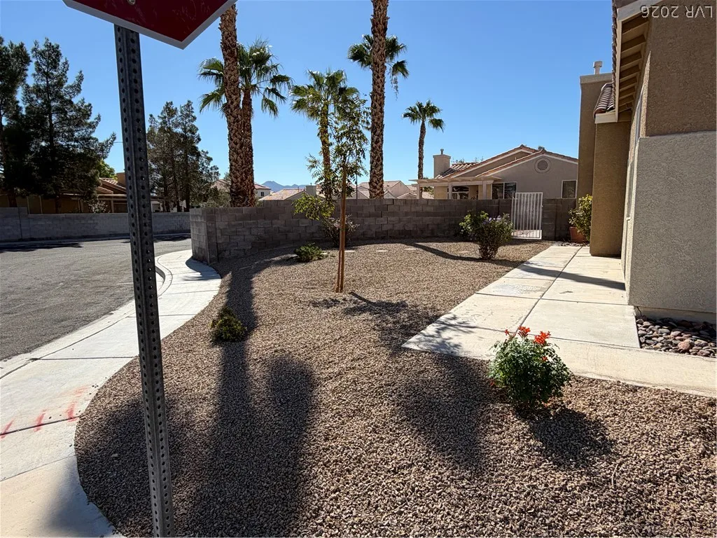 9115 Sparkling Star Street — photo 3