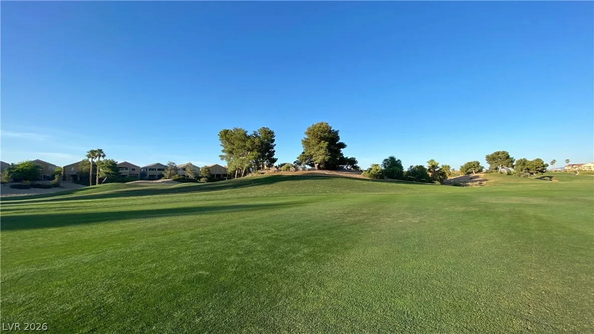 485 Newberry Springs Drive — photo 5