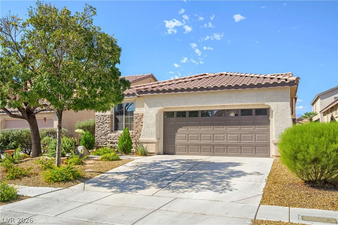 8227 Oasis Bloom Street — photo 3