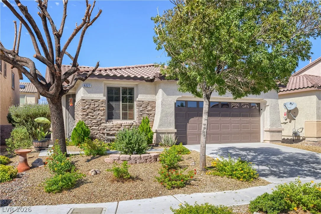 8227 Oasis Bloom Street — photo 4