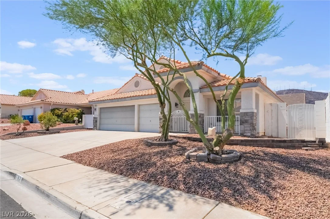 682 SCENIC TIERRA Lane — photo 3