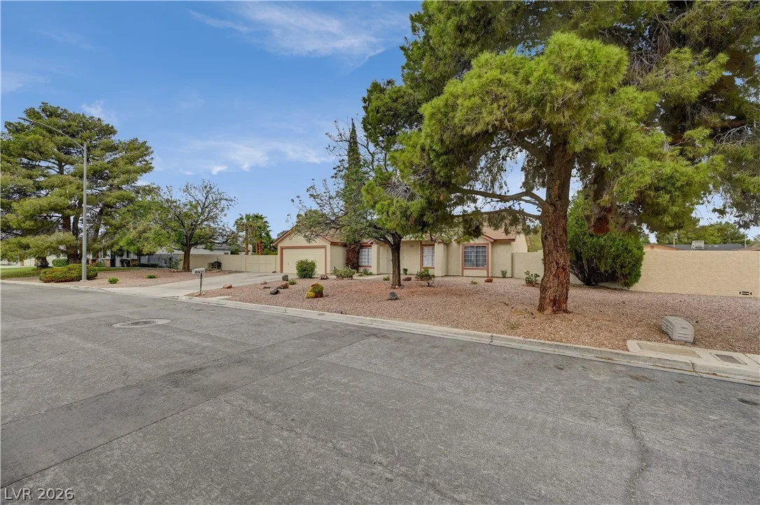 4618 Black Stallion Avenue — photo 4