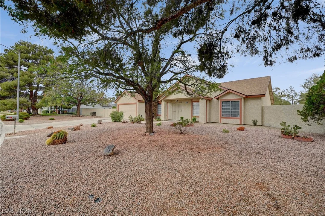 4618 Black Stallion Avenue — photo 5