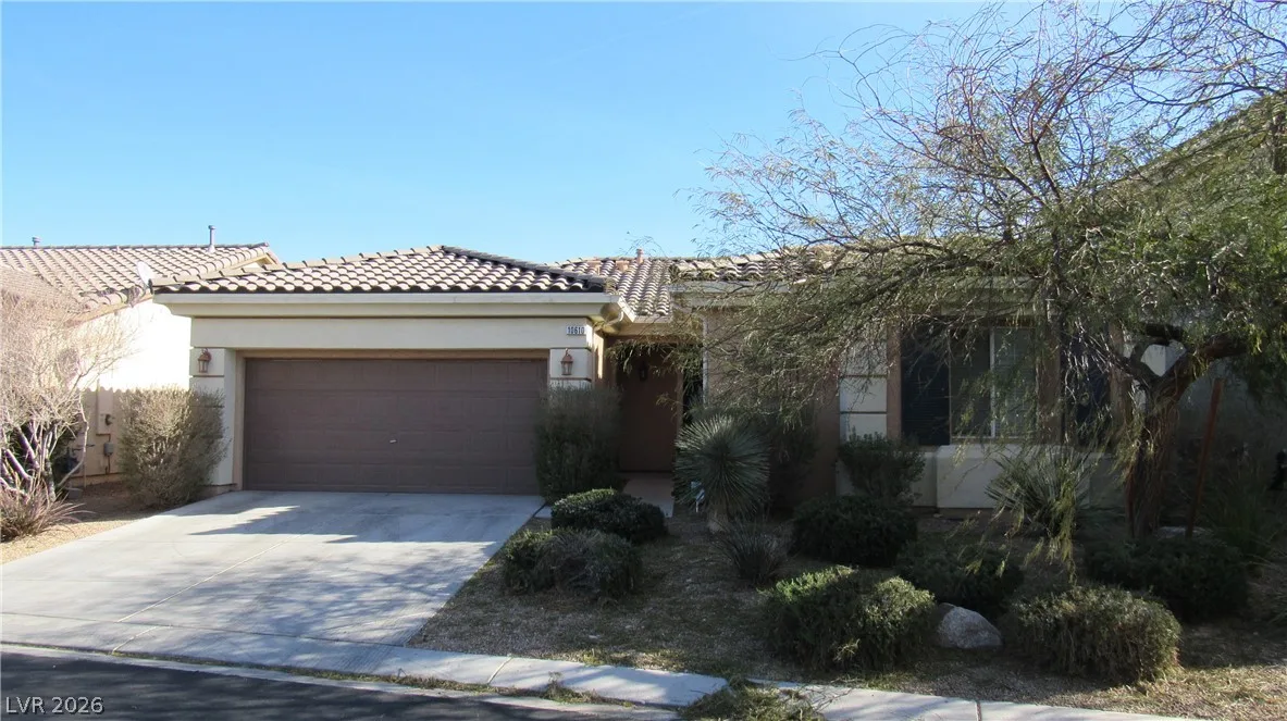 10610 Soaring Palm Street — photo 1