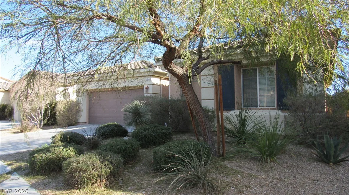 10610 Soaring Palm Street — photo 2