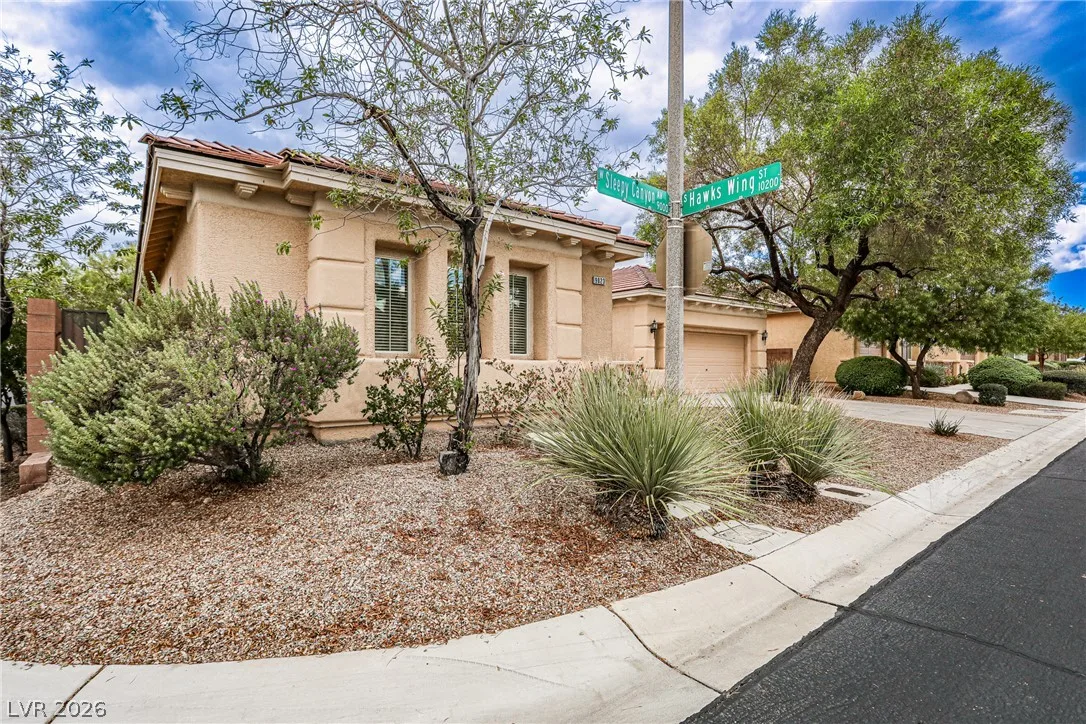 9023 Sleepy Canyon Avenue — photo 4