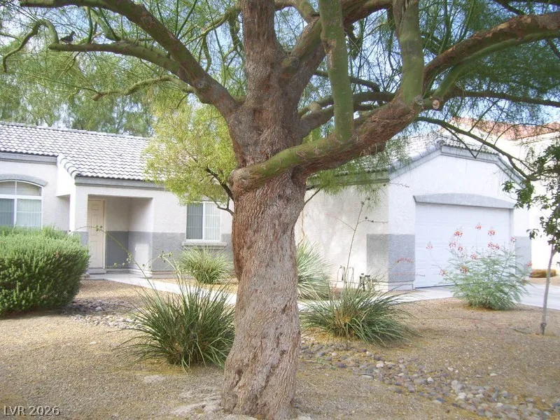 3720 Shimmering Creek Avenue — photo 4