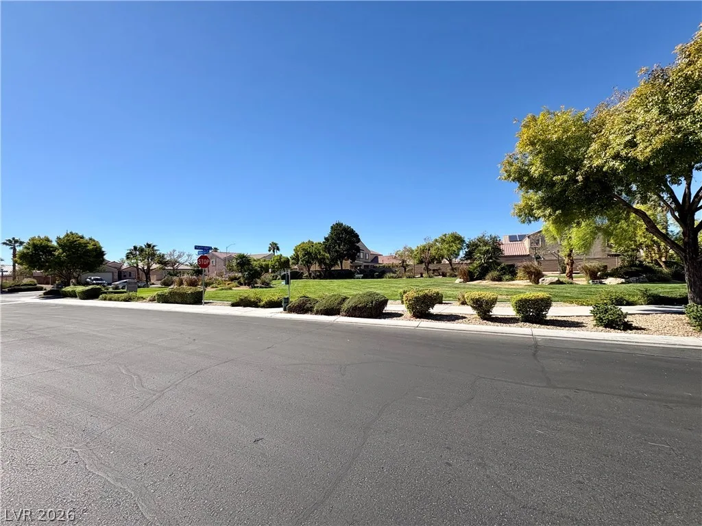 345 Orchid Oasis Avenue — photo 1